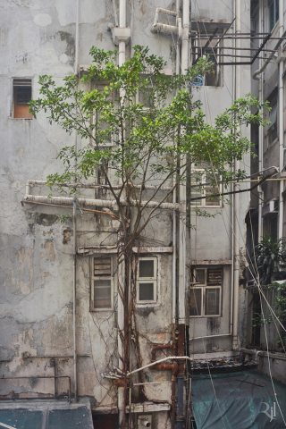 Illustration for article titled These post-apocalypse images of Hong Kong are actually real photos